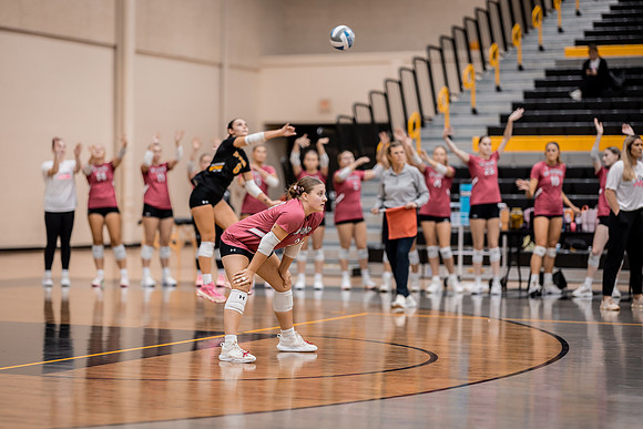VB vs CSS Edits-11