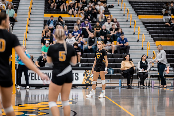 VB vs UNW-116