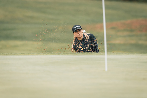 Golf -6