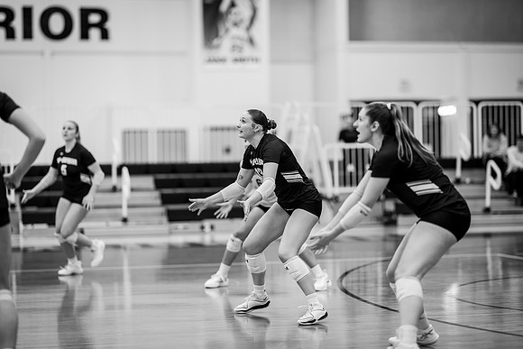 VB vs BLC-51