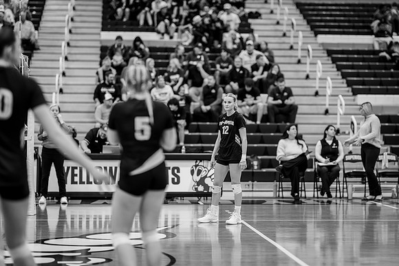 VB vs UNW-117