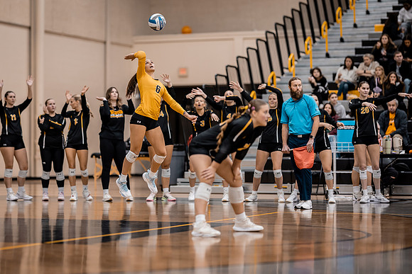 VB vs UMM-84