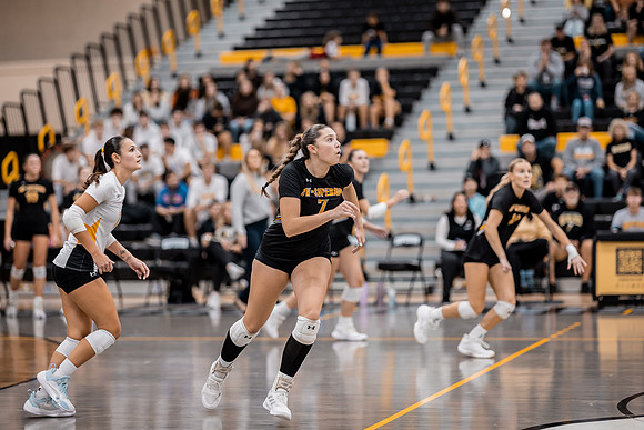 VB vs UNW-41