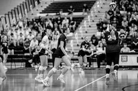 VB vs UNW-19