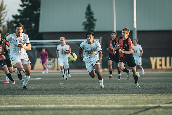 MSOC vs MLC-73