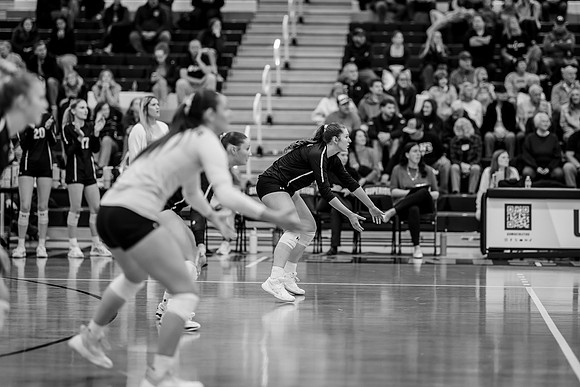 VB vs UMM-117