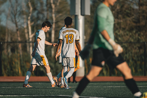 MSOC vs MLC-28