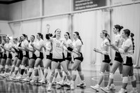 UWS VB vs CROWN-19