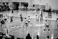 VB vs Augs-13