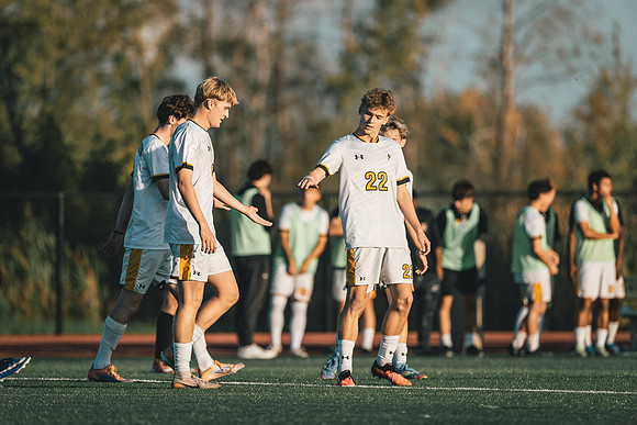 MSOC vs MLC-29
