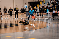 VB vs UMM-12