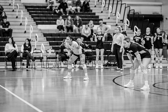 VB vs UNW-113