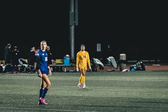 MSOC vs CROWN-8