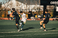 MSOC vs CROWN-20