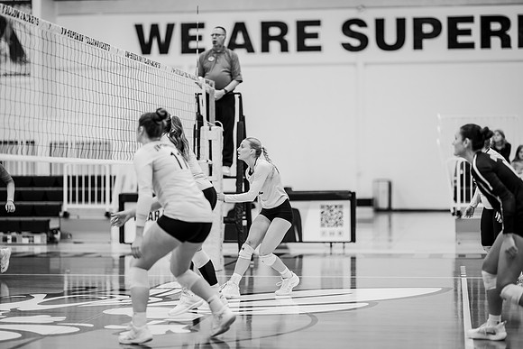 VB vs MLC -45