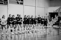 VB vs UMM-19