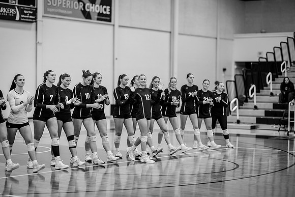 VB vs UMM-19