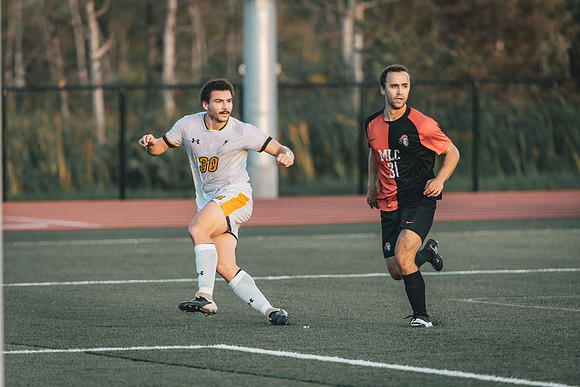 MSOC vs MLC-100