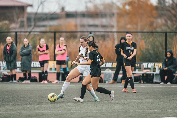 WSOC vs UMM-67