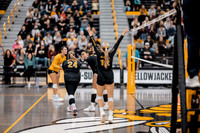 VB vs UMM-11