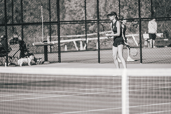 Tennis vs STO-184