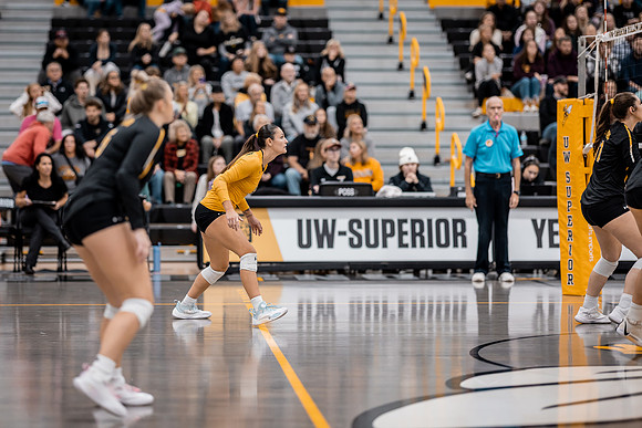VB vs UMM-113
