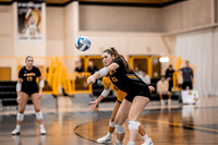 VB vs BLC-7