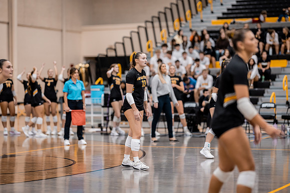 VB vs UNW-31