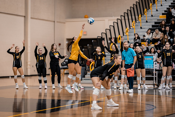 VB vs UMM-131