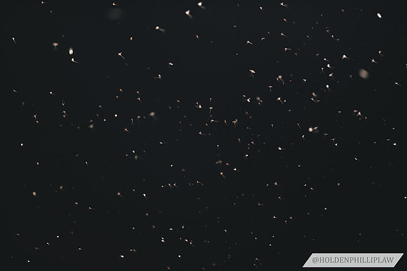 2021.07.30 DFC ACD 46