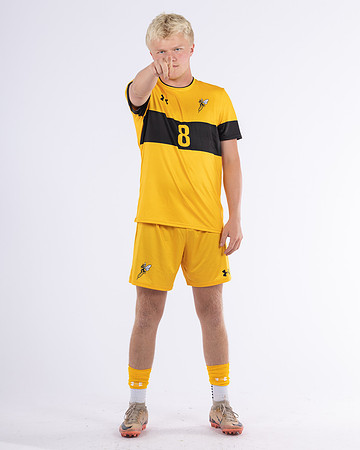 8 William Dykstra Yellow 3