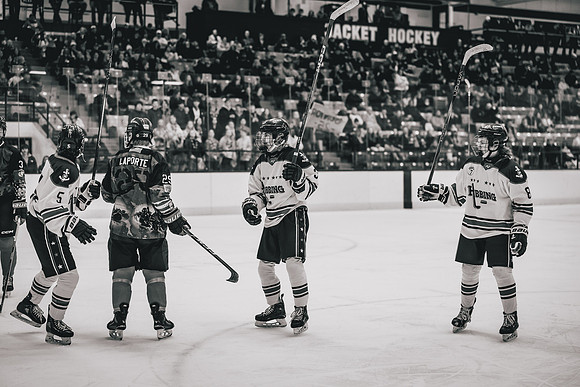 Hibbing vs Superior Hockey -1-76