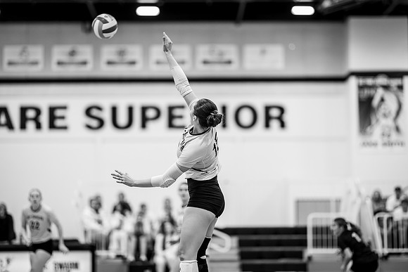 VB vs. BLC -1-91