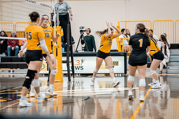 VB vs. BLC -1-82