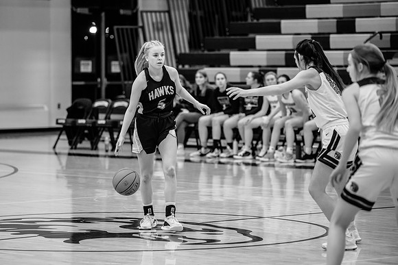 2022.01.27 Hermantown GBB vs. Superior IMAGE (182)