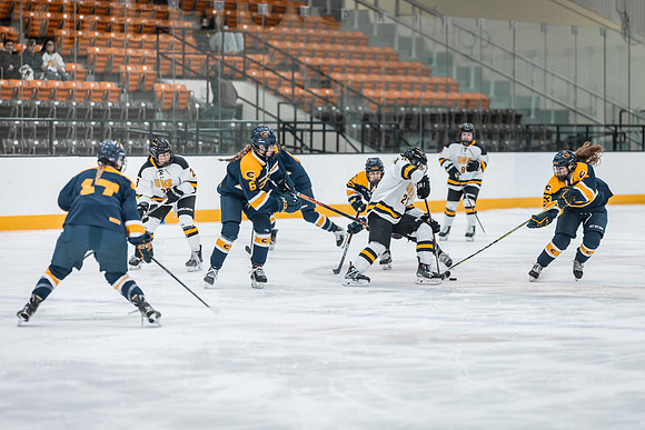 UWS WHOK vs UWEC-1-102