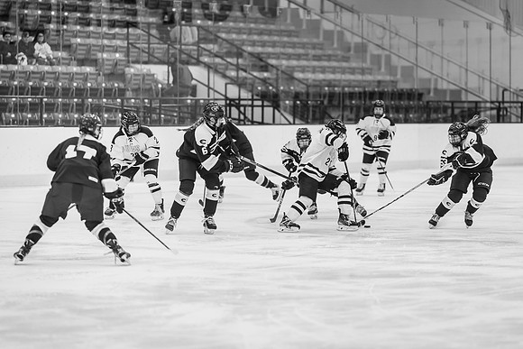 UWS WHOK vs UWEC-1-103