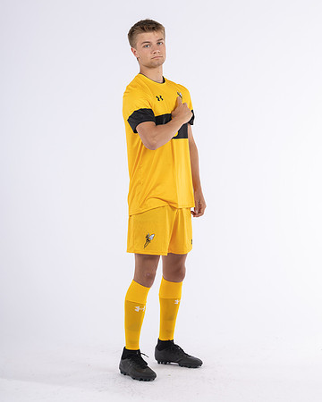 5 Alton Morrissey Yellow 5
