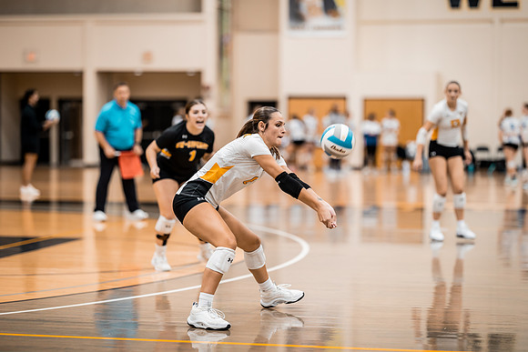 UWS VB vs. CSS-1-73