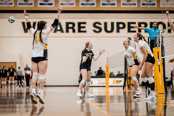 UWS VB vs. CSS-1-81