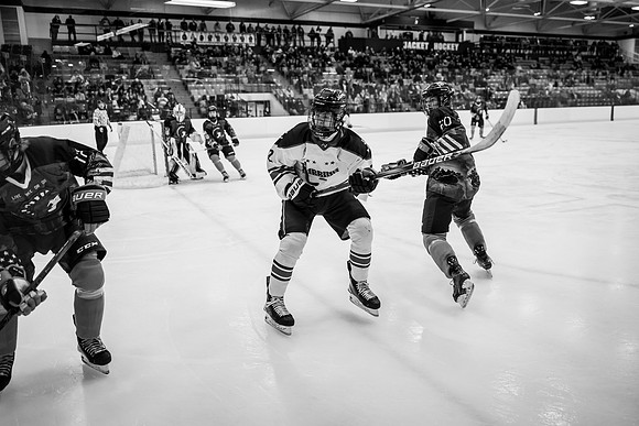 Hibbing vs Superior Hockey -1-47