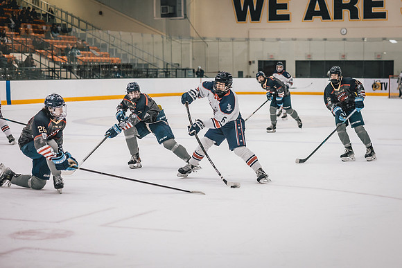 Hibbing vs Superior Hockey -1-96
