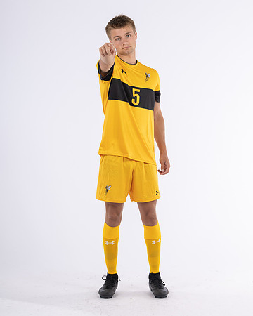 5 Alton Morrissey Yellow 3