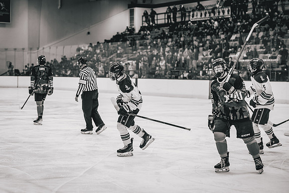 Hibbing vs Superior Hockey -1-119