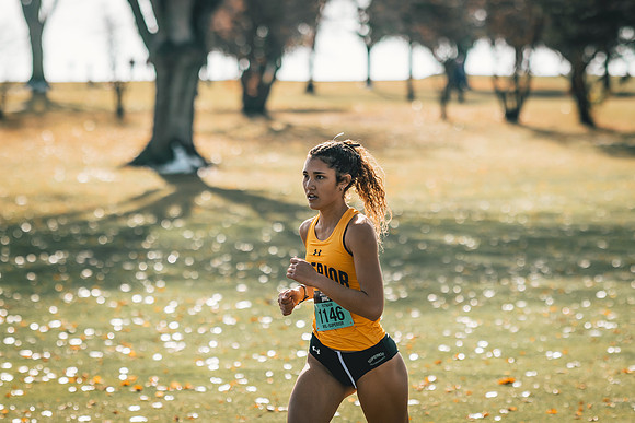 UWS XC CHAMP-1-218