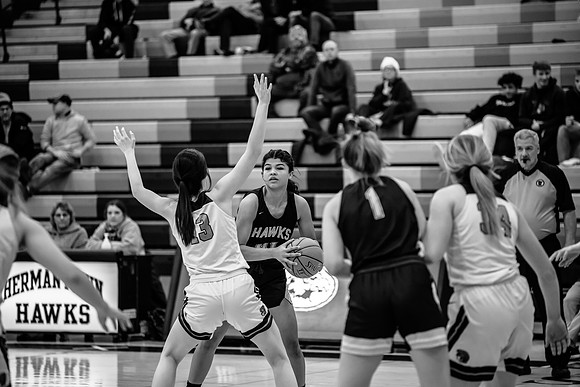 2022.01.27 Hermantown GBB vs. Superior IMAGE (159)