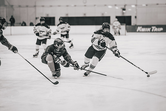 Hibbing vs Superior Hockey -1-41