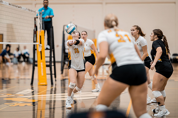 UWS VB vs. CSS-1-35