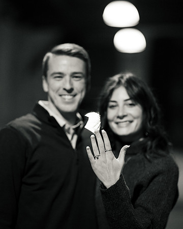 Tyler Limmer Proposal-1-50